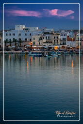 Trani (421)