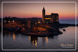 Trani (440)