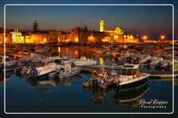 Trani (460)