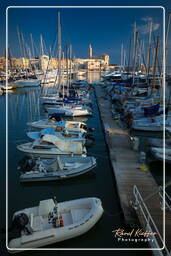 Trani (468)