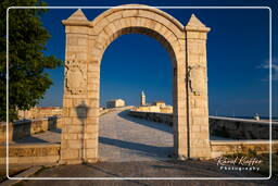 Trani (474)