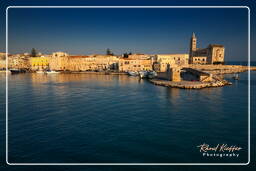 Trani (482)