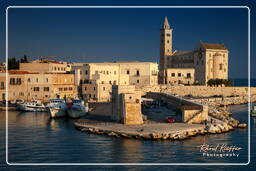 Trani (491)