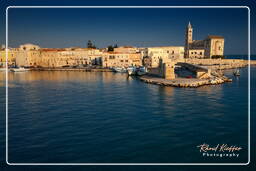 Trani (497)