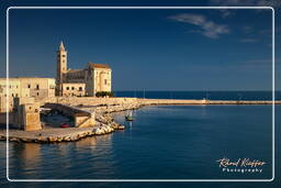 Trani (508)