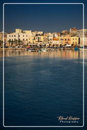 Trani (522)