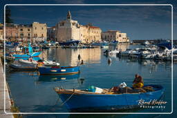 Trani (546)