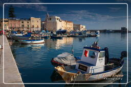 Trani (550)