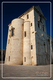 Trani (562)