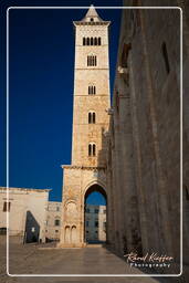 Trani (565)