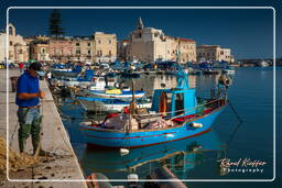 Trani (572)