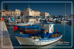 Trani (580)