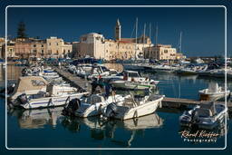 Trani (587)