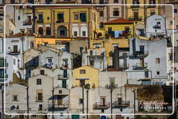 Ferrandina (102)