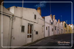 Ferrandina (225)