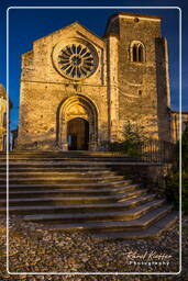 Santa Maria della Consolazione, Altomonte (19)