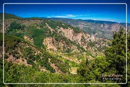 Calabrian Landscapes (5)