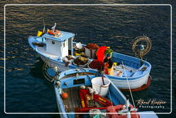 Amalfi (31)