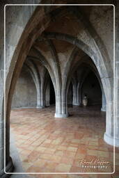 Villa Cimbrone, Ravello (66)
