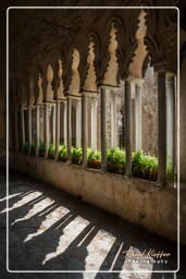 Villa Rufolo, Ravello (68)