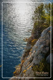 Capri (15)