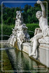 Caserta (109)