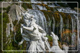 Caserta (146)