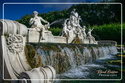 Caserta (202)