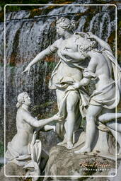 Caserta (216)