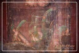 Ercolano (91)