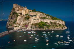 Ischia (513)