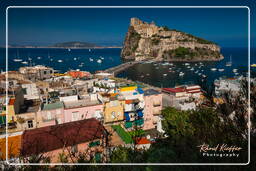 Ischia (523)