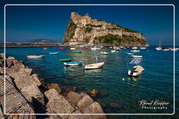 Ischia (525)