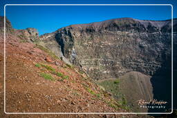 Mount Vesuvius (9)