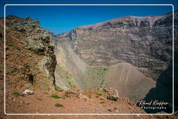 Mount Vesuvius (26)