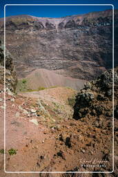 Mount Vesuvius (55)