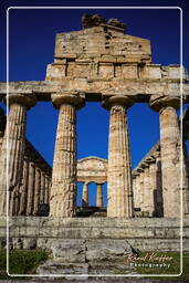 Paestum (3)