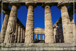 Paestum (4)