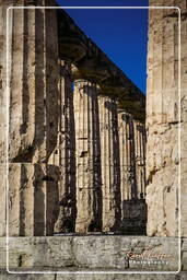 Paestum (6)