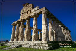 Paestum (8)