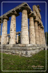 Paestum (13)