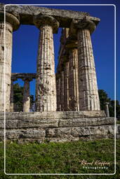 Paestum (14)