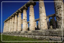 Paestum (18)