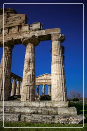 Paestum (28)