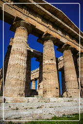 Paestum (37)