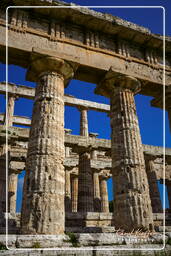 Paestum (44)