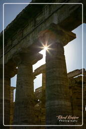 Paestum (48)