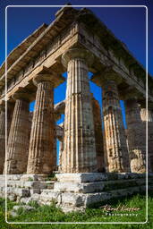 Paestum (65)