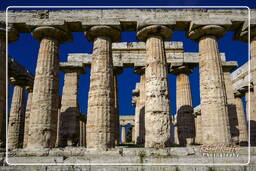 Paestum (66)