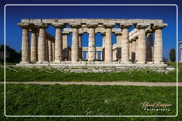 Paestum (69)
